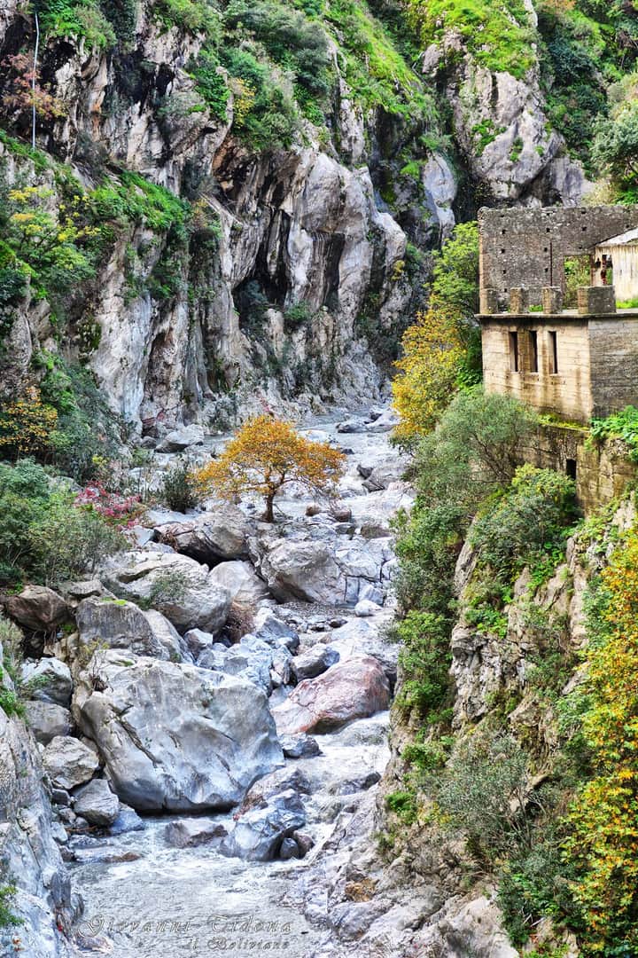 Gole Ranciara